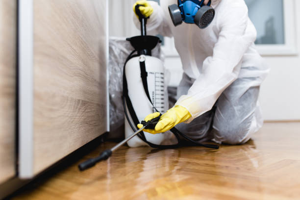 Best Pest Removal Services  in Jonestown, TX