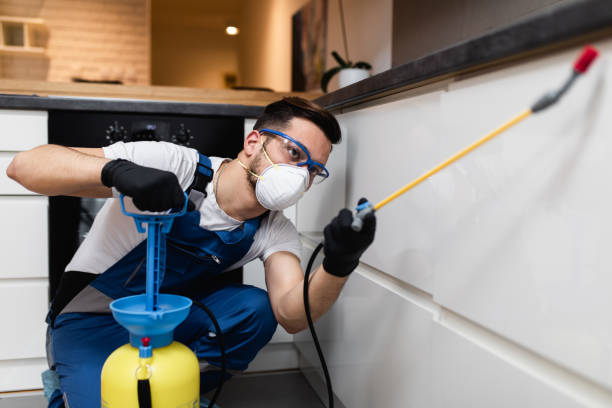 Best Wildlife Control Services  in Jonestown, TX