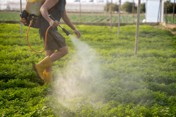 Best Wildlife Control Services  in Jonestown, TX