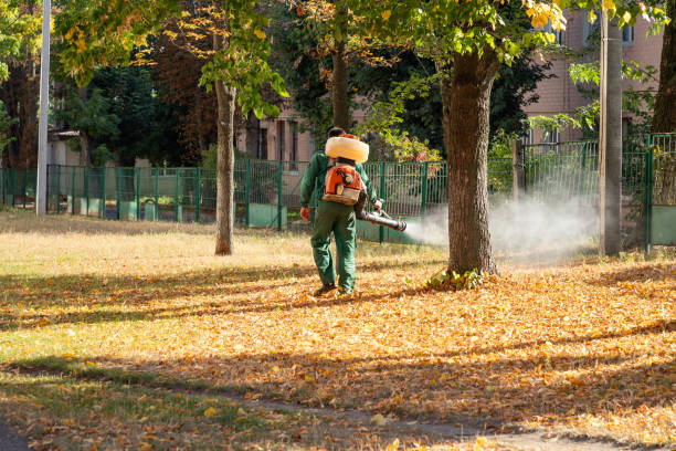 Flea Control Services in Jonestown, TX