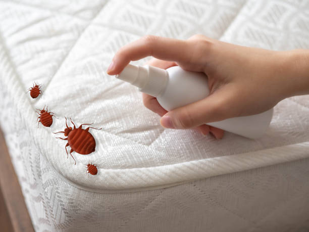 Best Pest Prevention Services  in Jonestown, TX