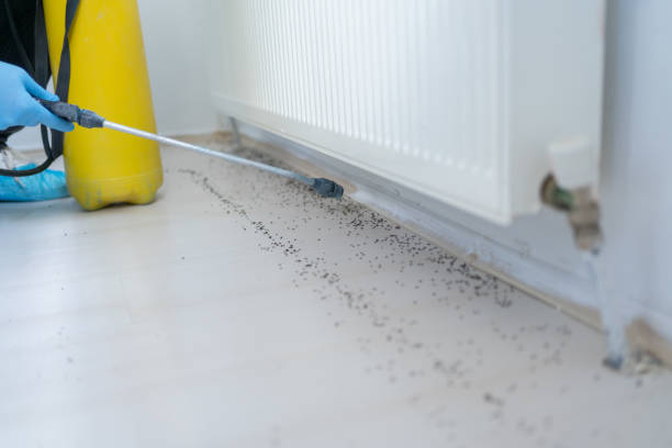 Pest Control Cost in Jonestown, TX
