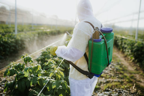 Best Emergency Pest Control  in Jonestown, TX